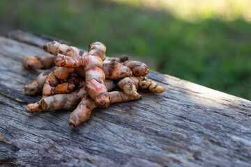 Fresh turmeric on wooden background.