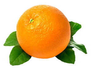 Fresh orange fruit with leaf