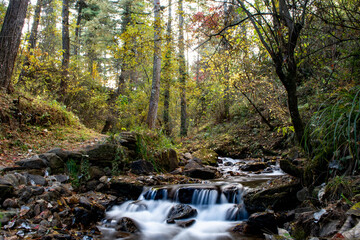 Cascade of beautiful stream in the middle of forest