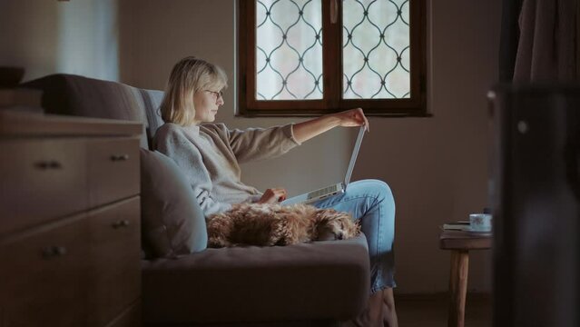 Blonde millennial woman petting her brown Havanese puppy on the sofa in the mountain cottage. She is working remotely on the computer with dog by her side. Best friends. Digital nomad lifestyle.