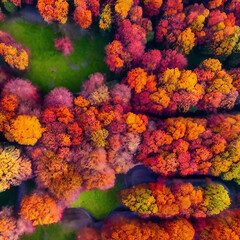 Fototapeta na wymiar colorful autumn trees
