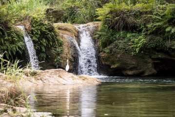 waterfall in the forest
