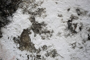 A weathered concrete wall with cracks and peeling paint, showing signs of age and decay.