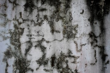 A weathered concrete wall with cracks and peeling paint, showing signs of age and decay.