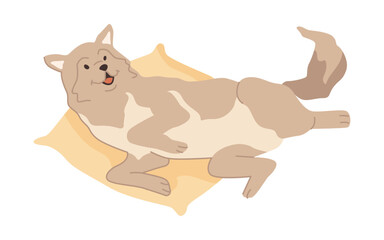 Husky breed of canine animal, isolated cute doggo laying on bed or soft pillow. Active dog personage wagging tail, playful puppy. Vector in flat style