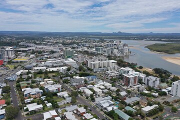Maroochydore Cotton Tree