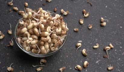Sprouted matki or moth bean which is rich in protein and vitamins in plate with lemon and chilly.