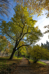 Jogging in Milan park 