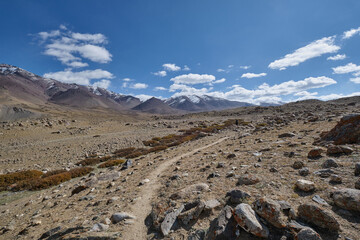 Two hikers walking on a footpath in Markha valley, Ladakh