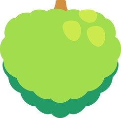 Custard apple colorful style