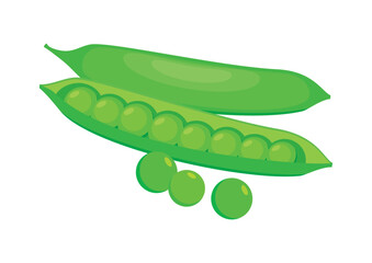 Fresh green pea pod icon set vector. Green pea edible legume icon vector isolated on a white background