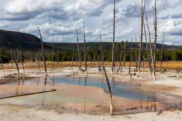 Hot spring at Yellowstone National Park. USA.