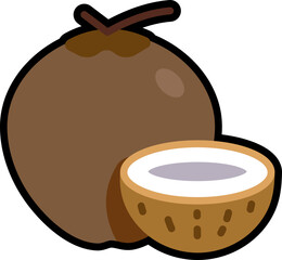 Mature Coconut and shell half cut colorful with black stroke