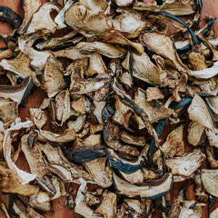 Nahaufnahme getrocknete Pilze auf einem Holzteller, rustikal. Pilzsorte Flockenstieliger Hexen-Röhrling, Neoboletus