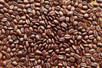 coffee beans on wood table. coffee seed