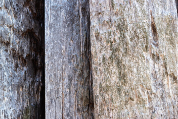 Obraz premium 古い木板