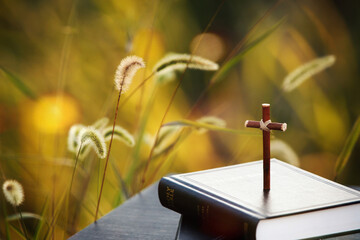 Yellow autumn field landscape with field grass and holy cross of Jesus Christ and bible book
