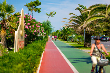 Droga rowerowa  wśród zieleni palm i kolorowych kwiatów w Kurortowym miejscu we Włoszech - obrazy, fototapety, plakaty