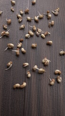 Assorted different types of beans and cereals grains. Set of indispensable sources of protein for a healthy lifestyle. Everyday use at Indian households.