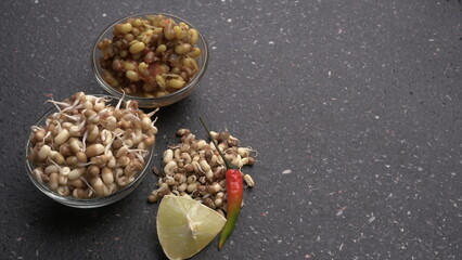 Healthy diet and vegetarian food. Mix of fresh sprouts on beautiful background. macrobiotic food. Sprouted wheat, peas, lentil seeds. Copy space