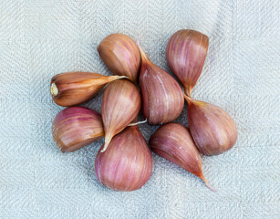 Ripe fresh garlic lies on an old linen towel on a wooden background in summer