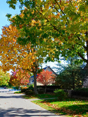 Naklejka premium Wohnen in der schönen Kleinstadt