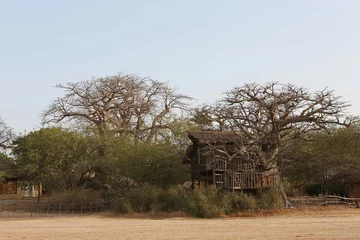 Fototapete Rund Baobab tree house. Architecture in Palmarin, Senegal, Africa. Lodge Les Collines De Niassam. Wooden house in Lodge Les Collines De Niassam. African architecture, house. Senegal nature, landscape, view © Sergey