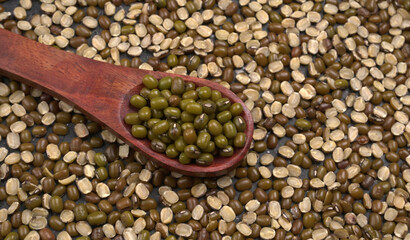 Green Mung Beans Also Know as Mung Dal, Vigna Radiata, Green Beans or Moong Dal isolated on White Background