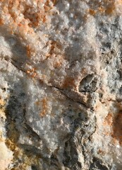 Fondo con detalle y textura de superficie de roca con escamas de cuarzo, en tonos blancos y marrones