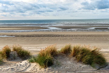 breakwater and marram grass over dunes and storm clouds at Malo-Les-Bains beach in Dunkirk, france