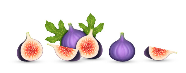 Realistic figs set. Fresh seasonal fruit whole, cut and sliced. Sweet juicy summer tropical fig