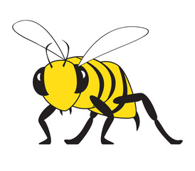 Angry bee looking at you isolated on white. Yellow jacket looking angry with stinger. Pest control