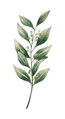Botanical green leaf watercolor painting
