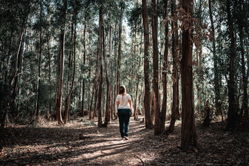 Mujer de espalda caminando y explorando bosque misterioso al atardecer	