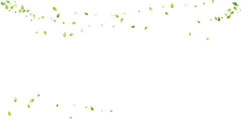 Leaves Green Falling Flying Foliage Leaf Tea Mint