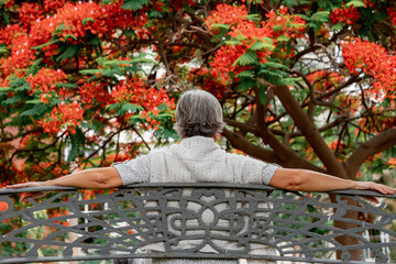 Back view of older woman sitting relaxed on park bench admiring flowering trees. Mature caucasian...