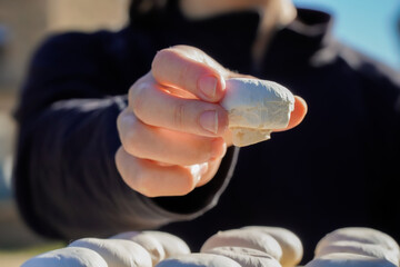 woman's hand picking a mushroom with the black background for copy space