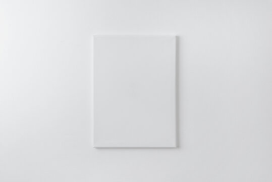 Blank vertical art canvas on wall. Clean surface for mockup, art presentation. Soft light on white wall