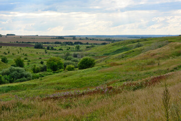 Obraz premium green valley with bushes and agricultural field and cloudy sky on horizon