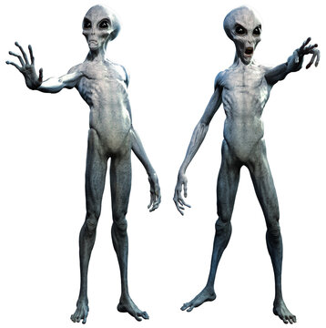 Grey aliens communicating 3D illustration	