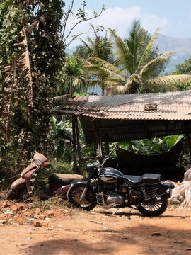 Vertical closeup of a royal Enfield against old mopet classical indian shet trees background