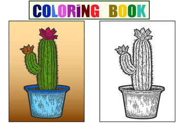 Blooming cactus in a pot. Sketch scratch board, home interior. Set example and children color.