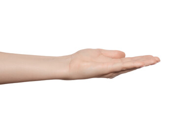 Hand empty palm up, copy space