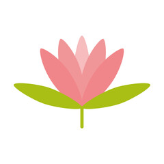 Cute Pink Swamp Lotus flower. Simple flat vector isolated on white background