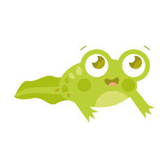 Cute happy toad transforms from a tadpole into an adult frog flat vector illustration. Funny drawings of green amphibian isolated on white background. Nature concept