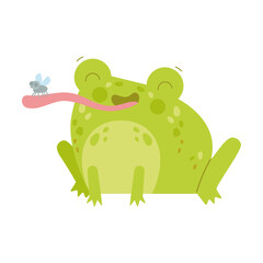 Cute happy toad or frog character caught fly with long sticky tongue flat vector illustration. Funny drawings of green amphibian isolated on white background. Nature concept