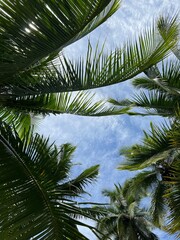 El Choc&oacute;, Colombia