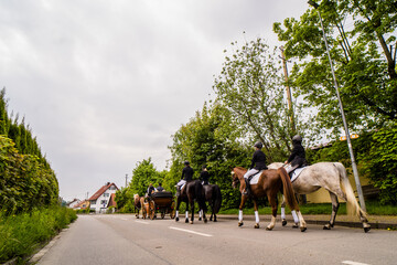 Pferde mit Kutsche