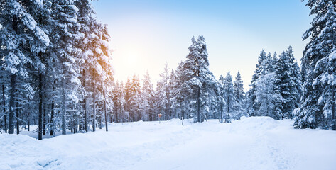 Stunning winter forest landscape with snow covered road in Finland.