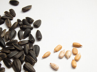 Seed of Sunflower isolated on white background. Close-up of delicious sunflower black seeds, isolated on white background